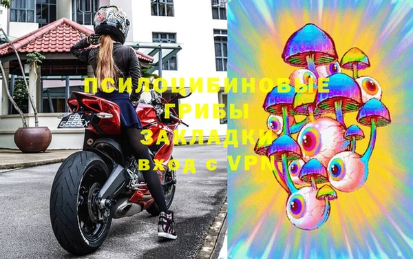 дурь Горно-Алтайск