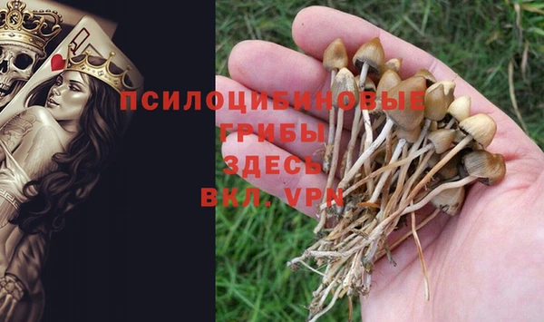 МДМА Горняк