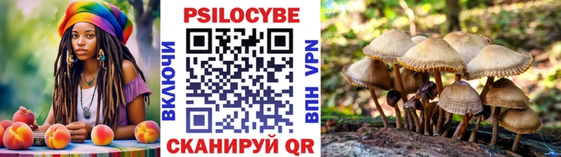 Галлюциногенные грибы Magic Shrooms  Грайворон 